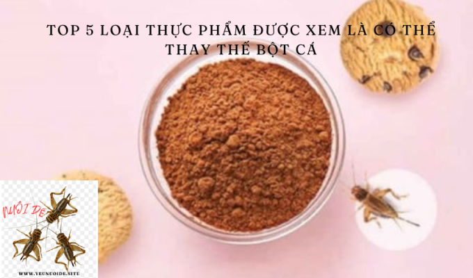 Top 5 loại thực phẩm được xem là có thể thay thế bột cá