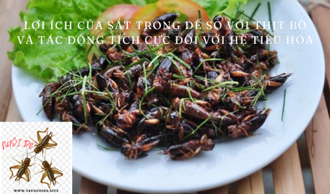 Lợi ích của sắt trong dế so với thịt bò và tác động tích cực đối với hệ tiêu hóa