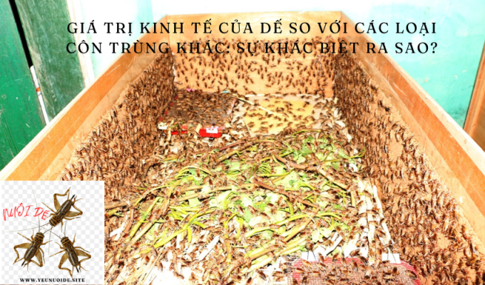 Giá trị kinh tế của dế so với các loại côn trùng khác: Sự khác biệt ra sao?