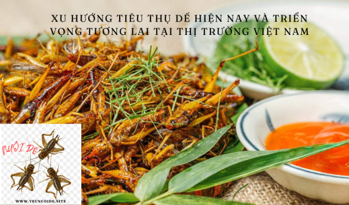 Xu hướng tiêu thụ dế hiện nay và triển vọng tương lai tại thị trường Việt Nam